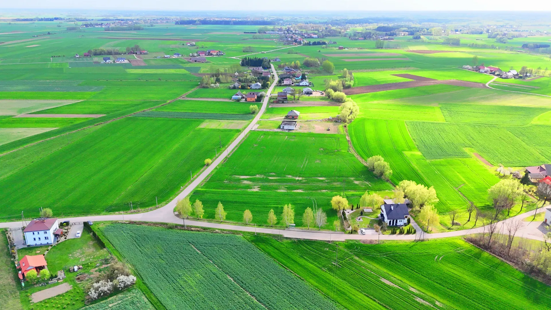 Działka na sprzedaż Borowa 29, 37 ara 4