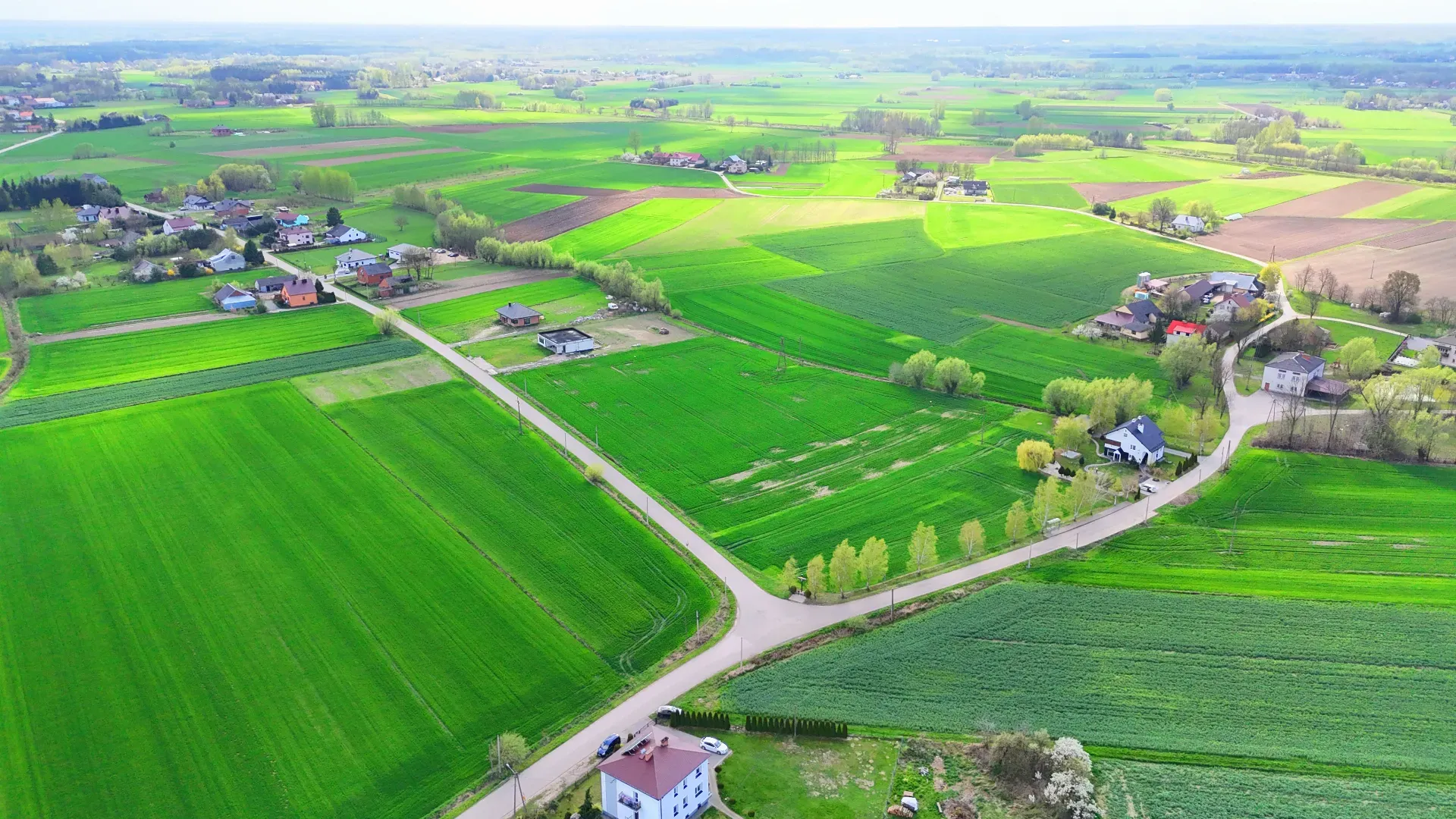 Działka na sprzedaż Borowa 29, 37 ara 6