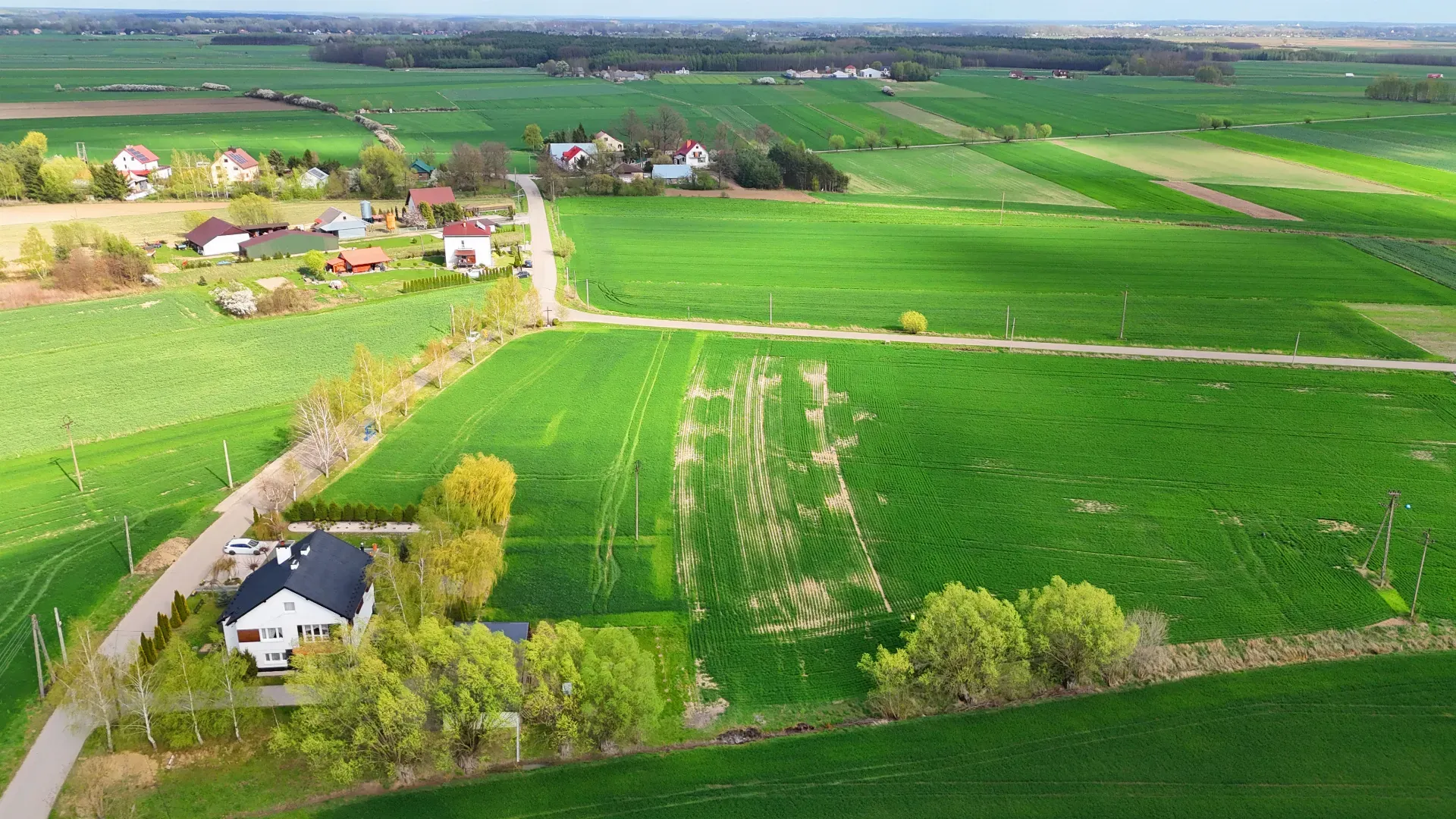 Działka na sprzedaż Borowa 29, 37 ara 8