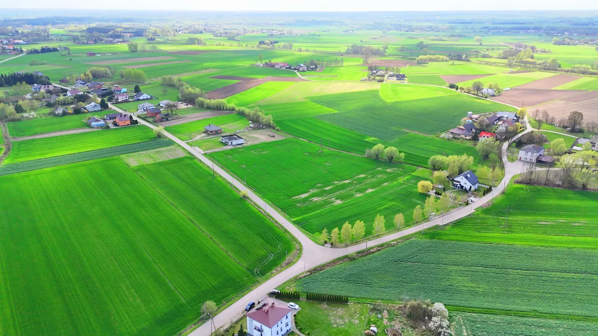 Działka na sprzedaż Borowa 33,15 ara 2