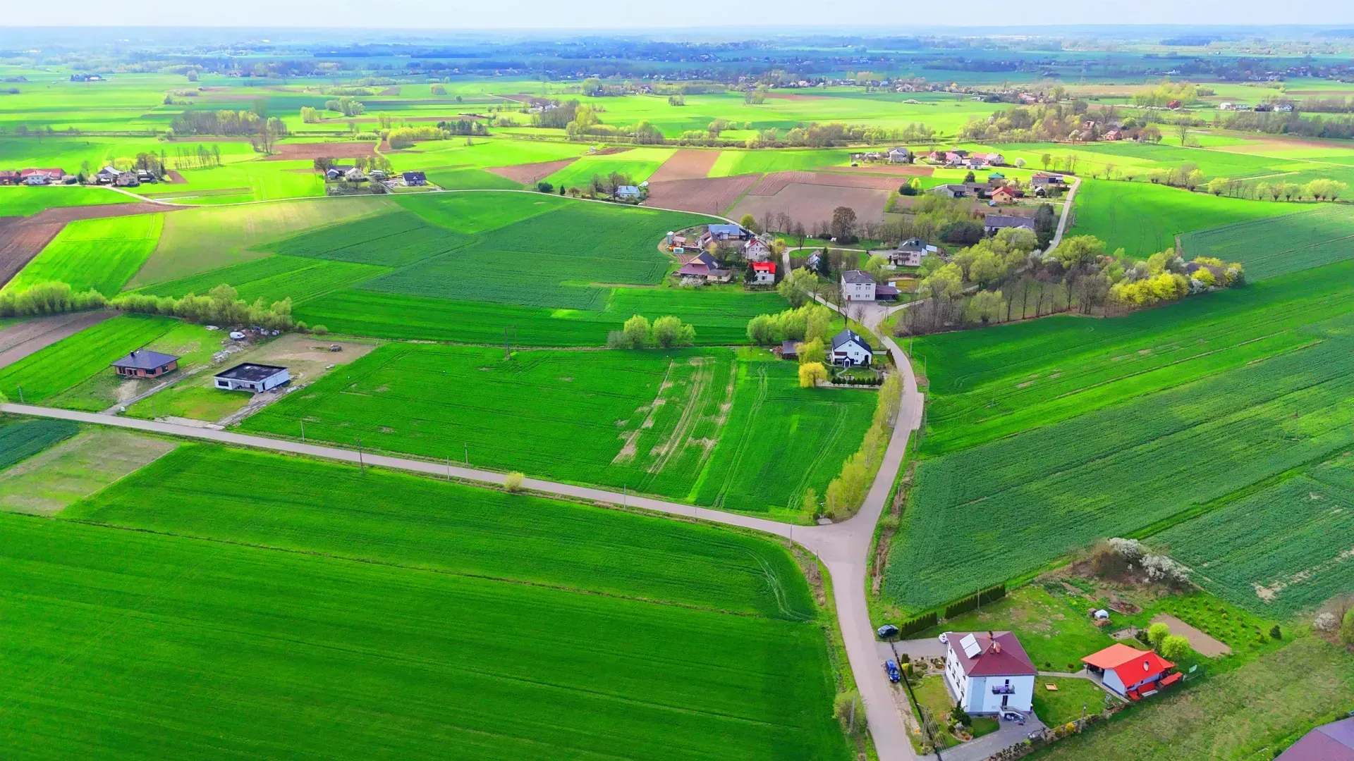 Działka na sprzedaż Borowa 33,15 ara 4