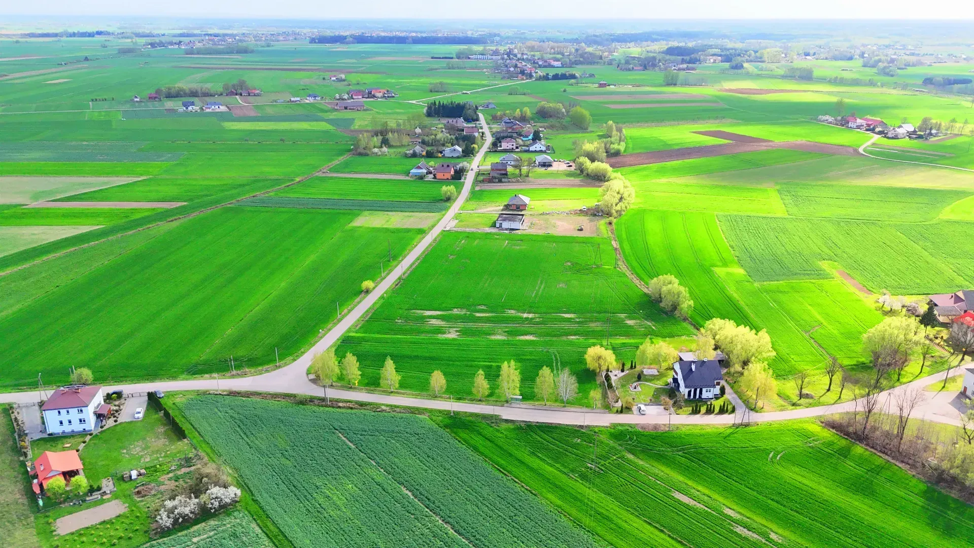 Działka na sprzedaż Borowa 33,15 ara 6