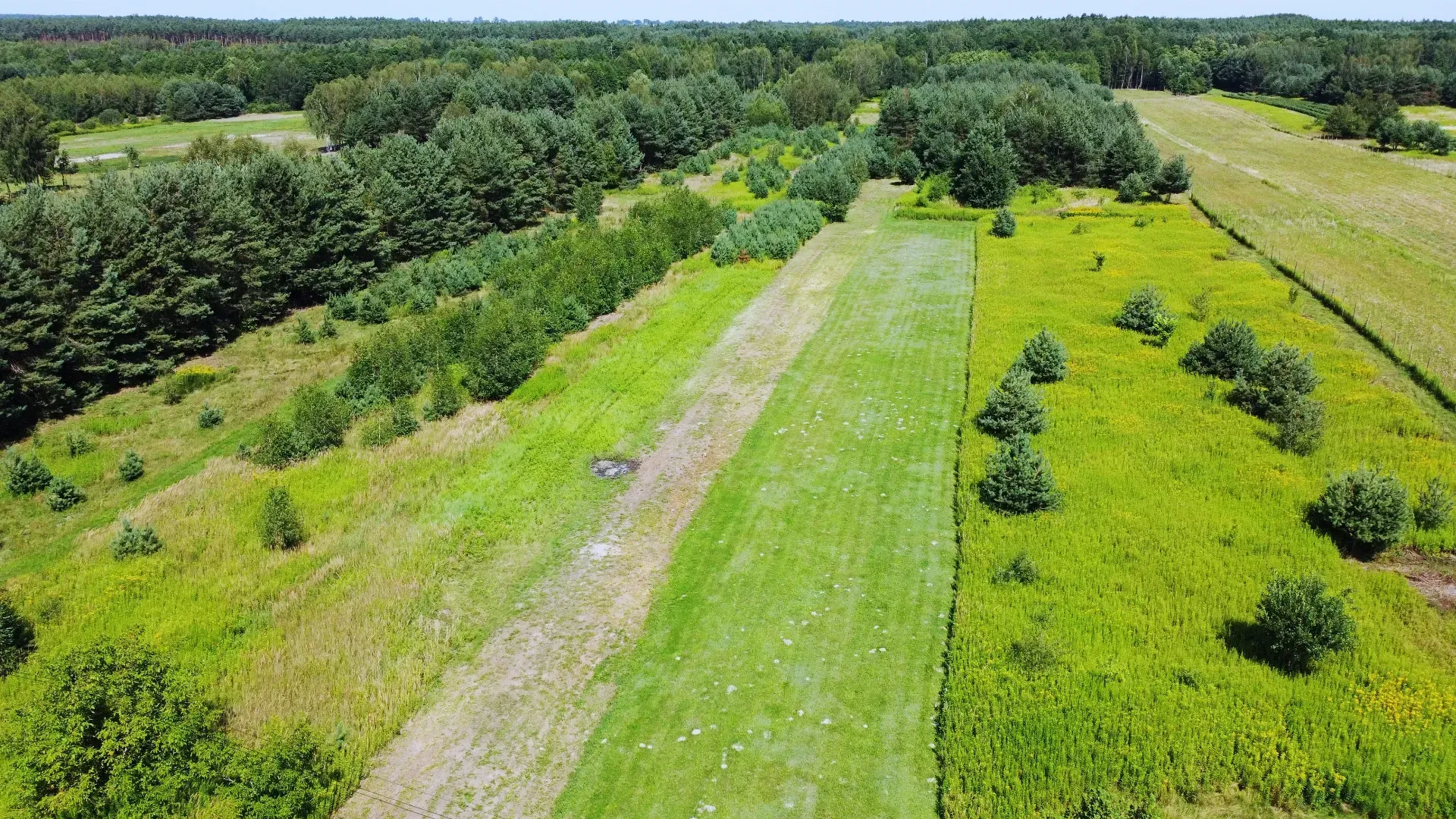 Gospodarstwo 3 hektarowe w Majdanie Sieniawskim 19