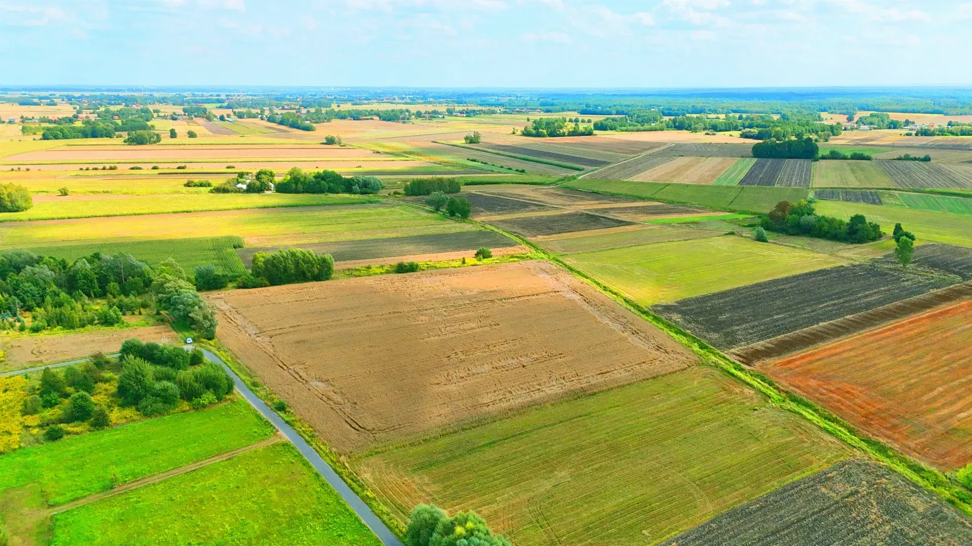 Działka rolna Breń Osuchowski 11