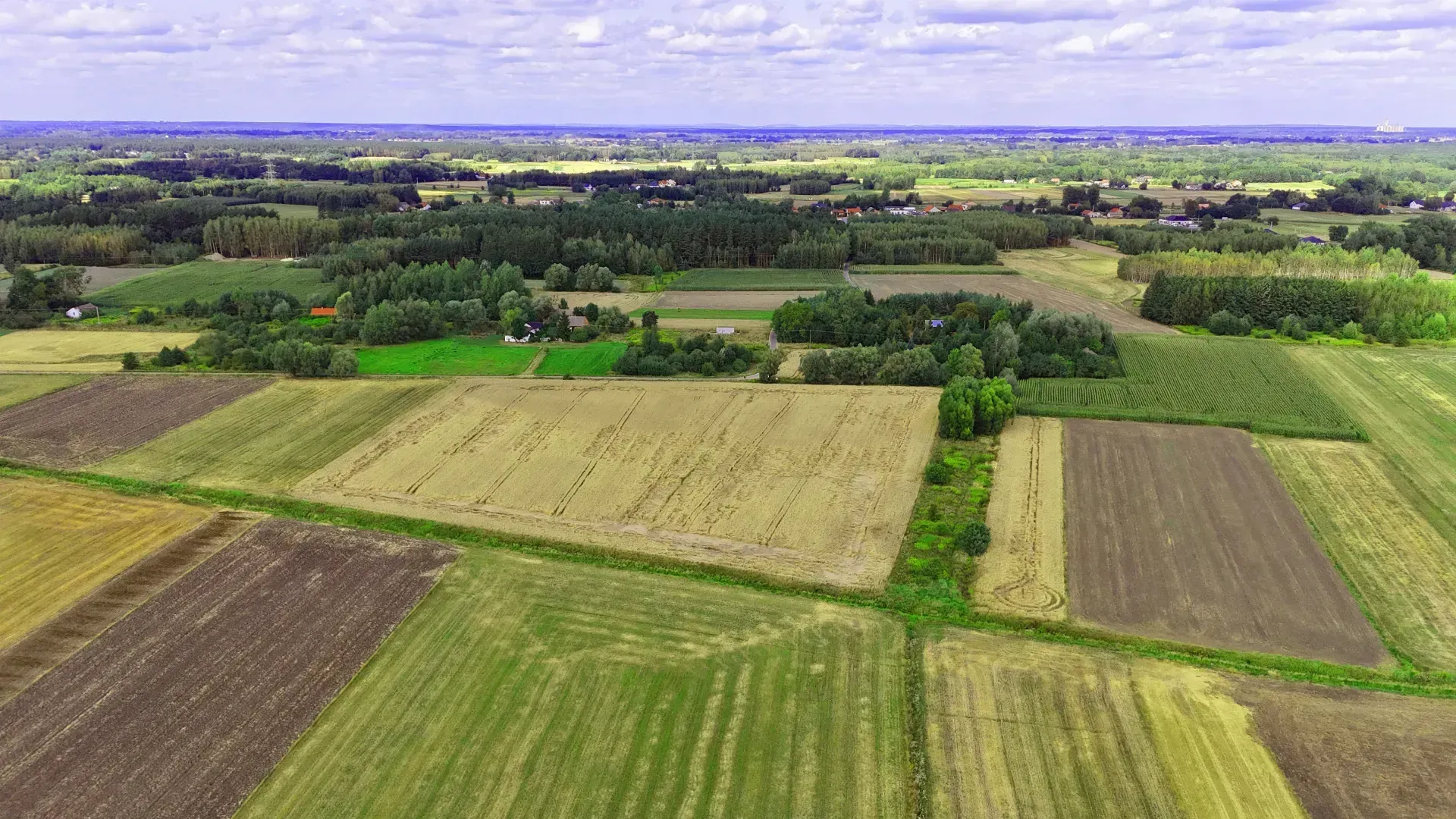 Działka rolna Breń Osuchowski 14