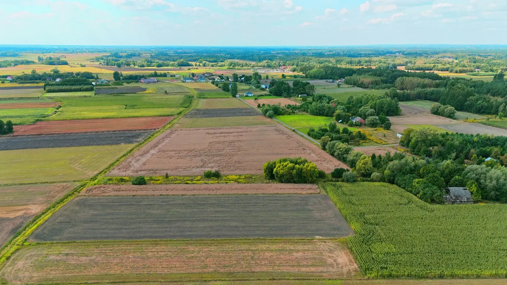 Działka rolna Breń Osuchowski 19