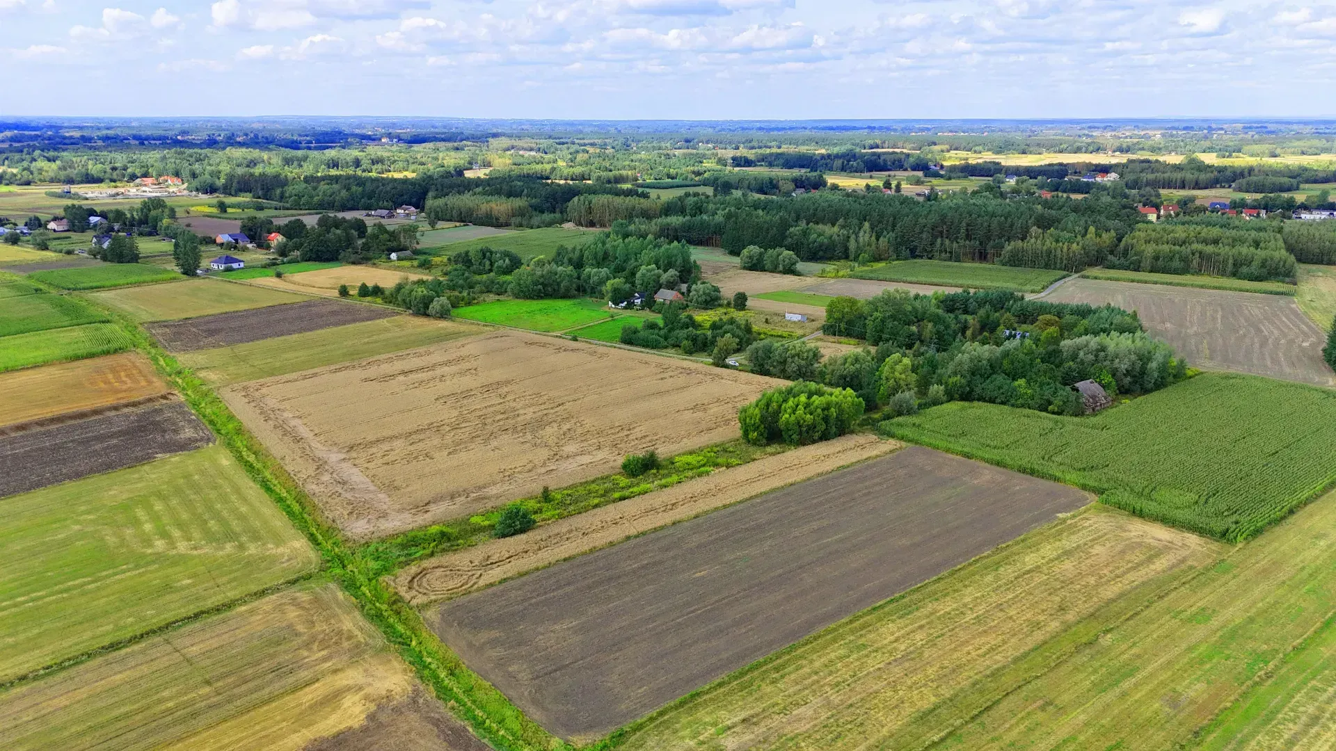 Działka rolna Breń Osuchowski 22