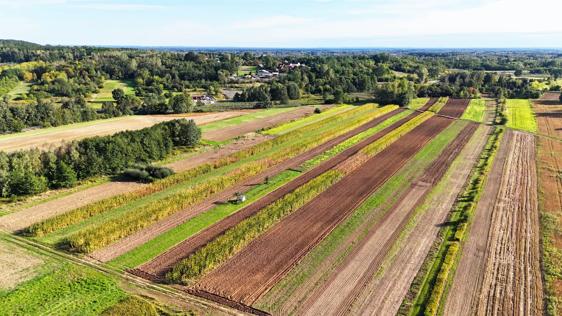 Działka rolna Skopanie 3