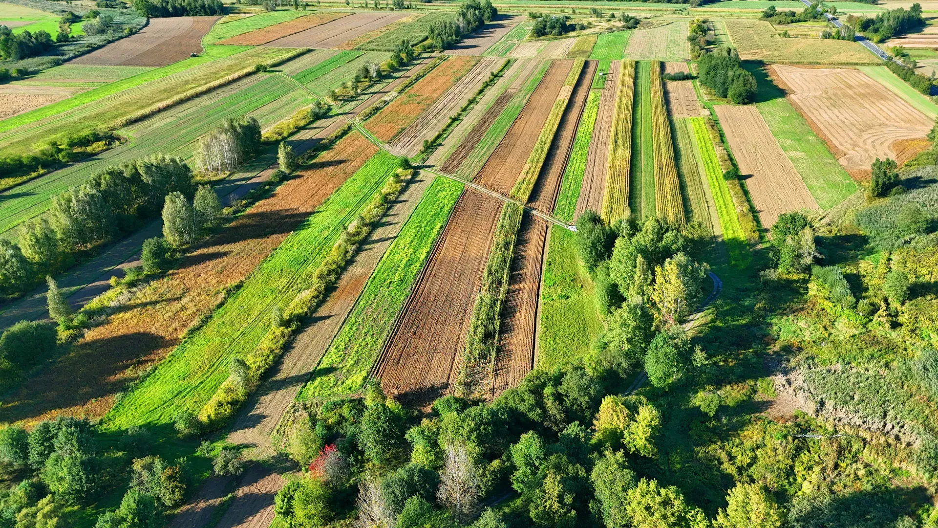 Działka rolna Skopanie 6