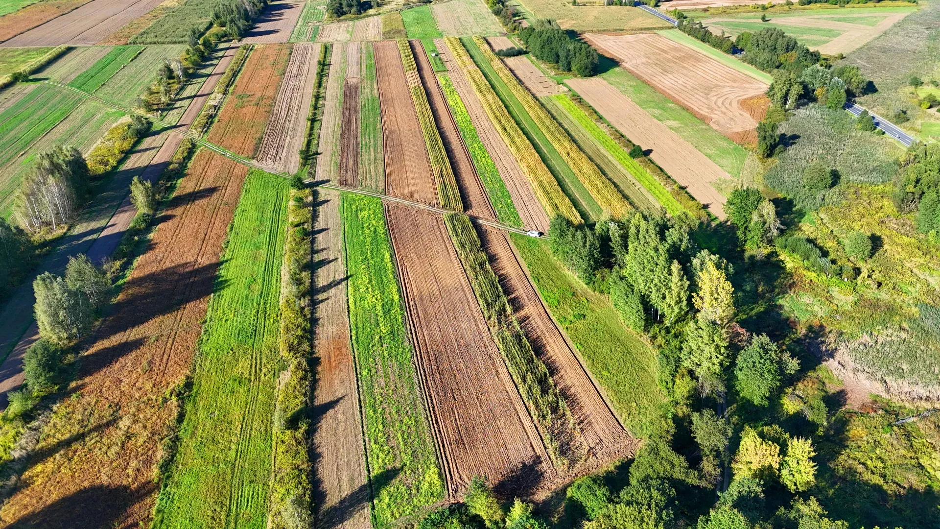 Działka rolna Skopanie 9