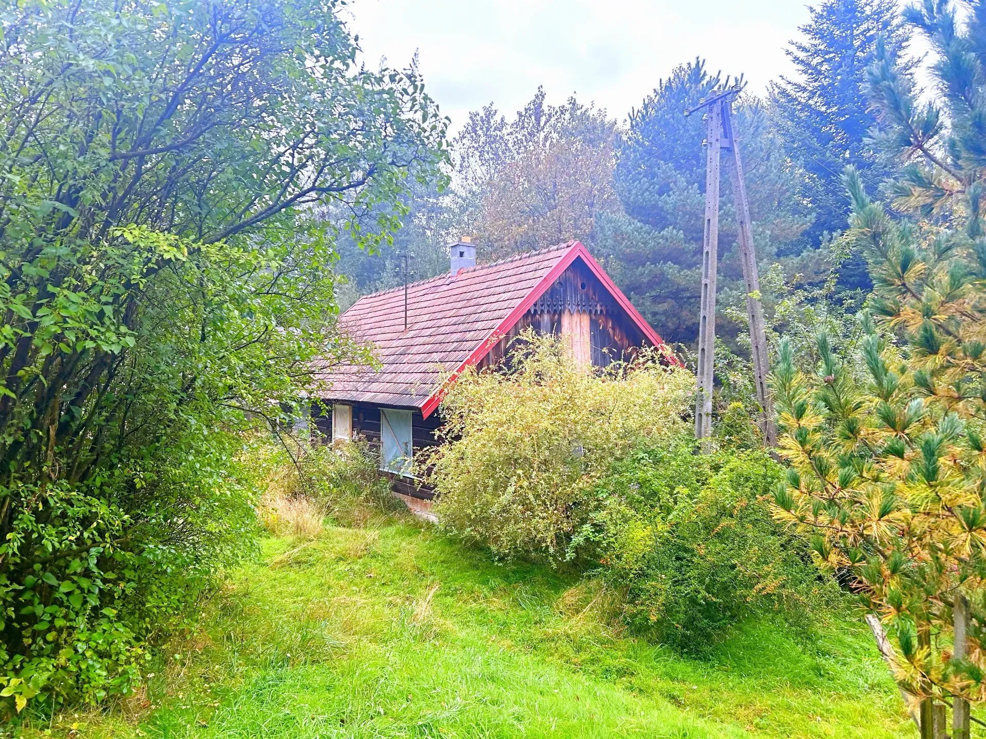 Siedlisko na sprzedaż w Chmielniku 2