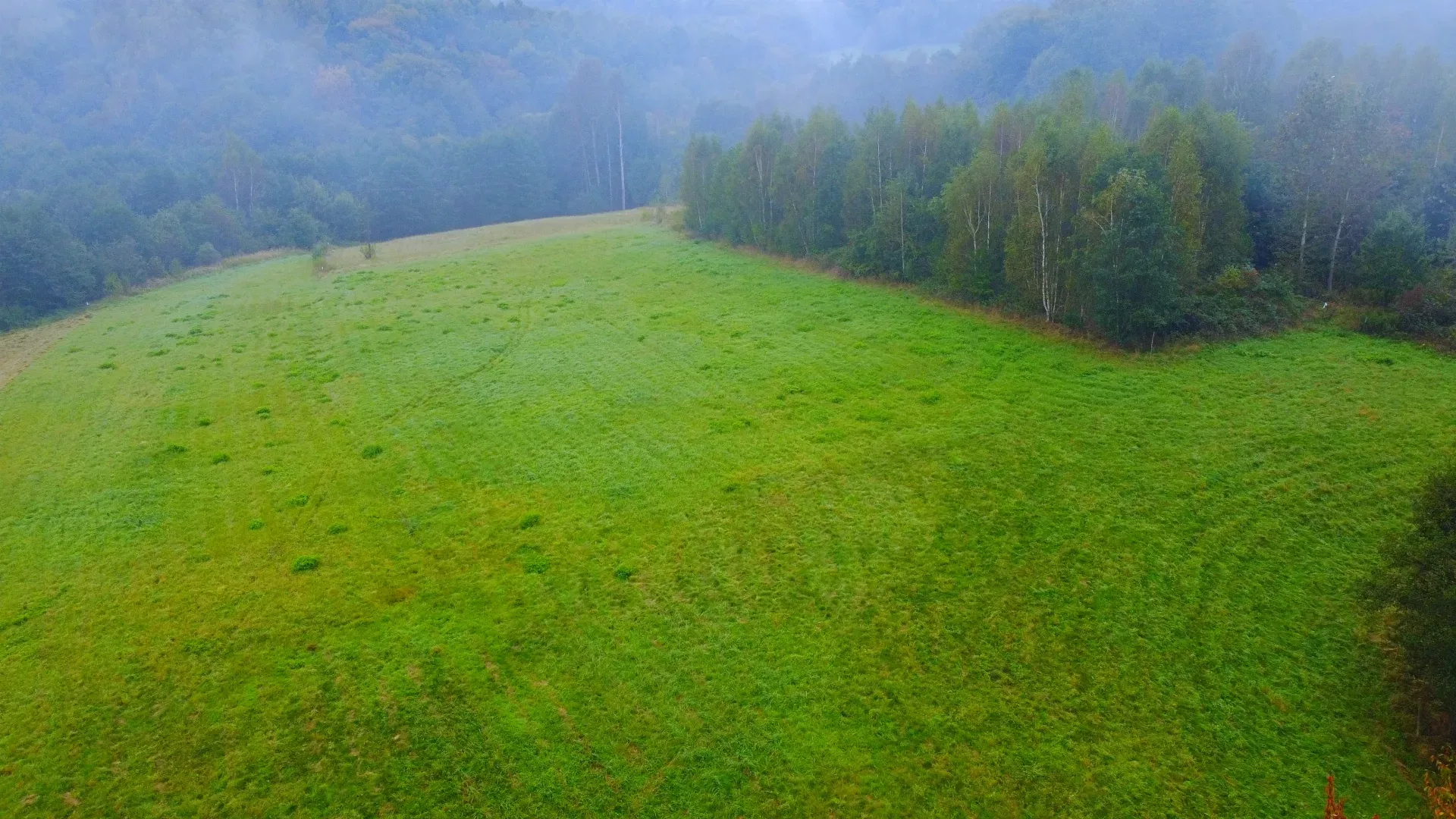 Siedlisko na sprzedaż w Chmielniku 3