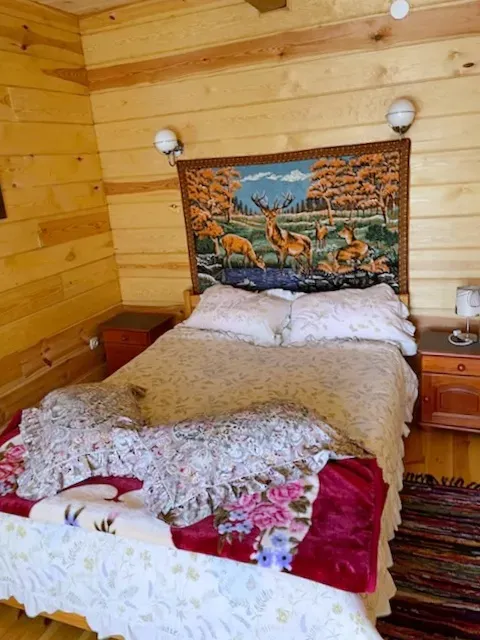 Klimatyczny dom całoroczny nad Ożanna 7