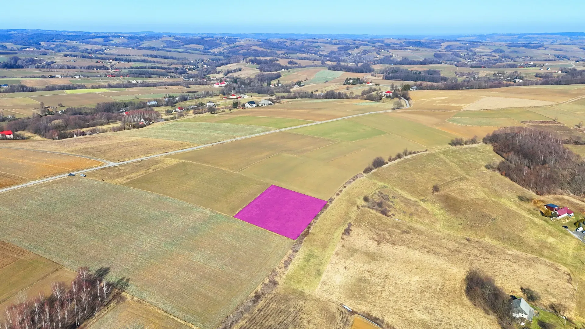 Malownicza działka rolna w Brzezinach 3