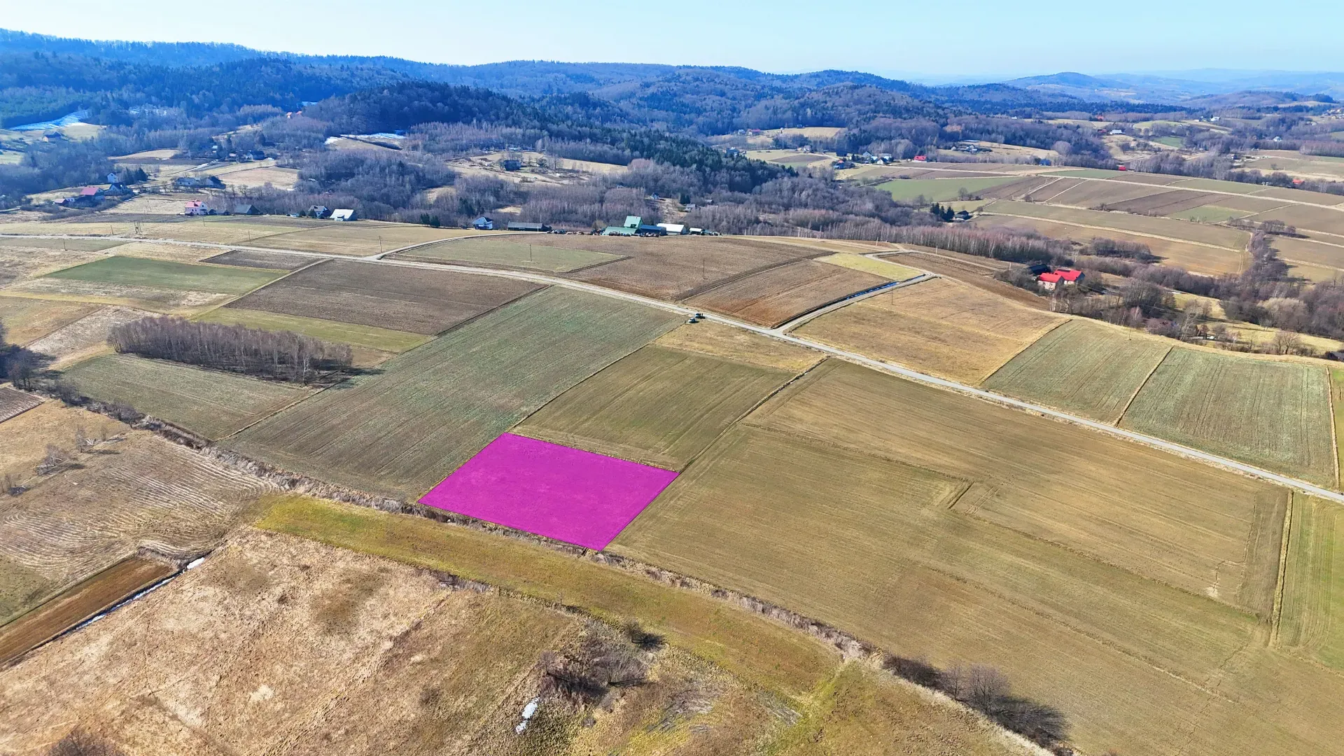 Malownicza działka rolna w Brzezinach 10