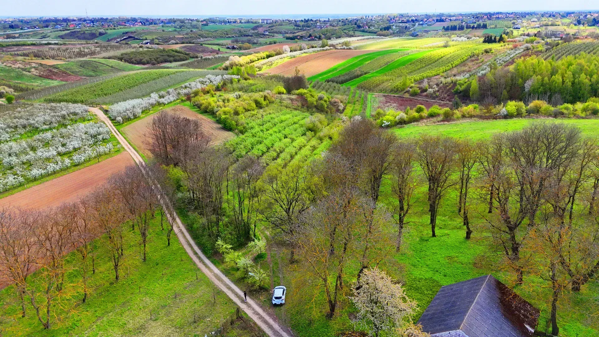 Działka budowlana – SANDOMIERZ POSCALENIOWY 2