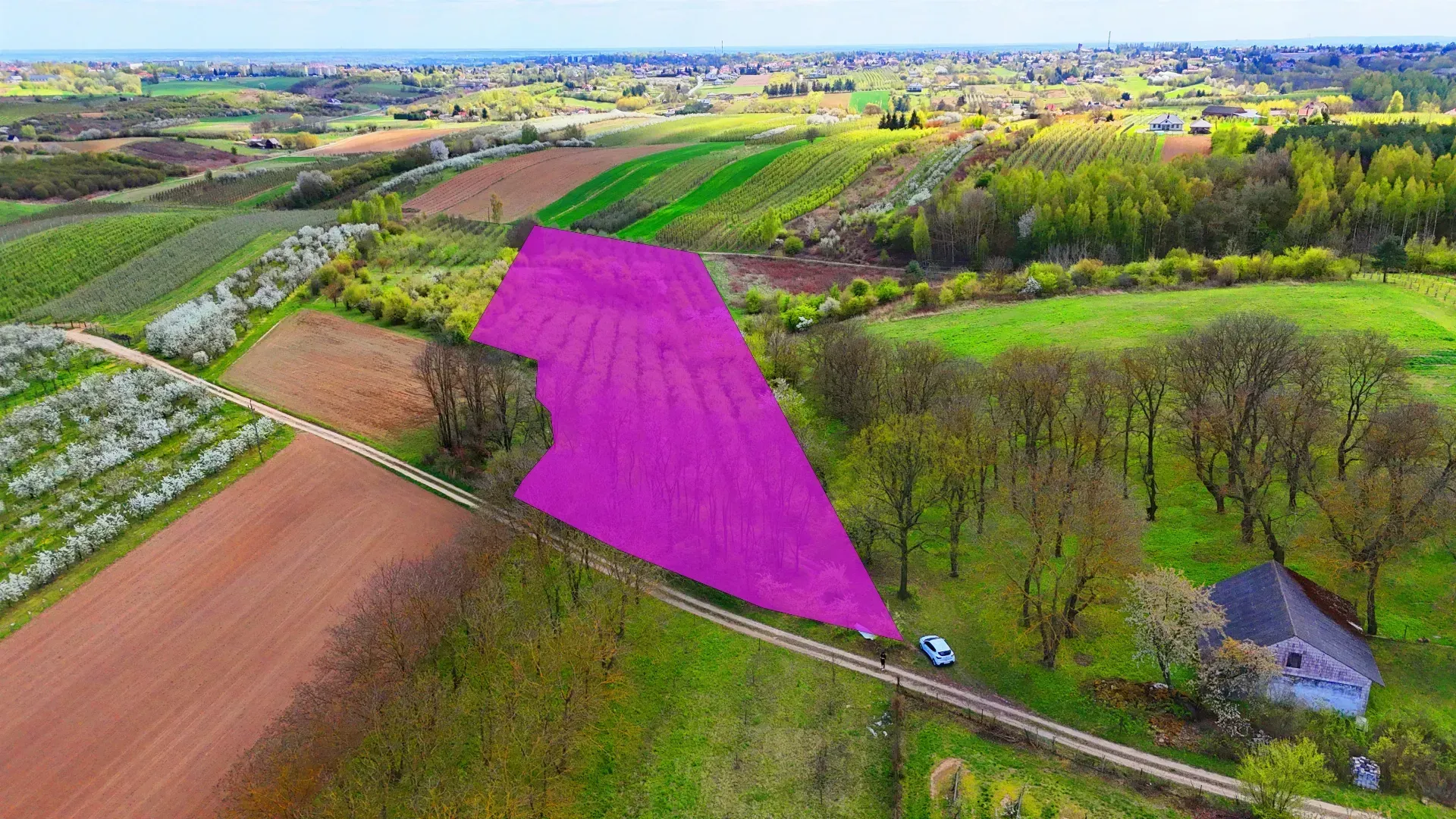 Działka budowlana – SANDOMIERZ POSCALENIOWY 6