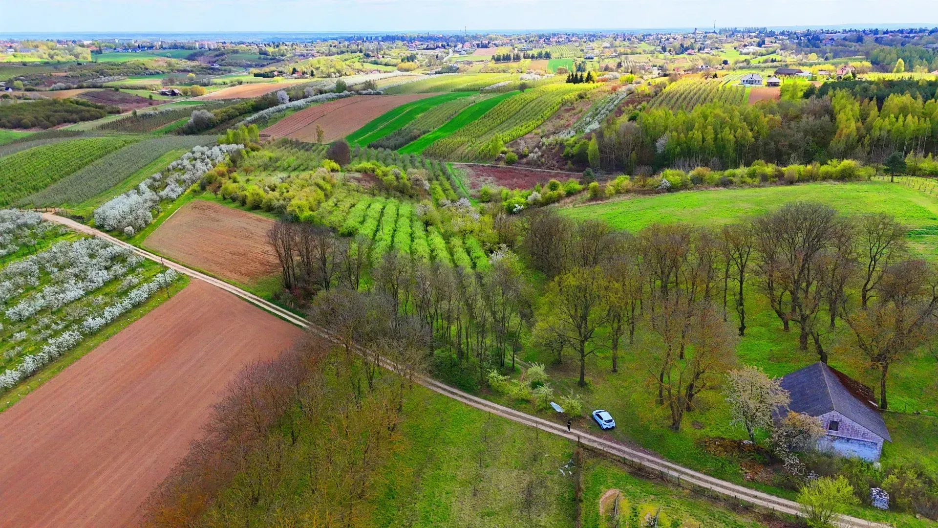 Działka budowlana – SANDOMIERZ POSCALENIOWY 7