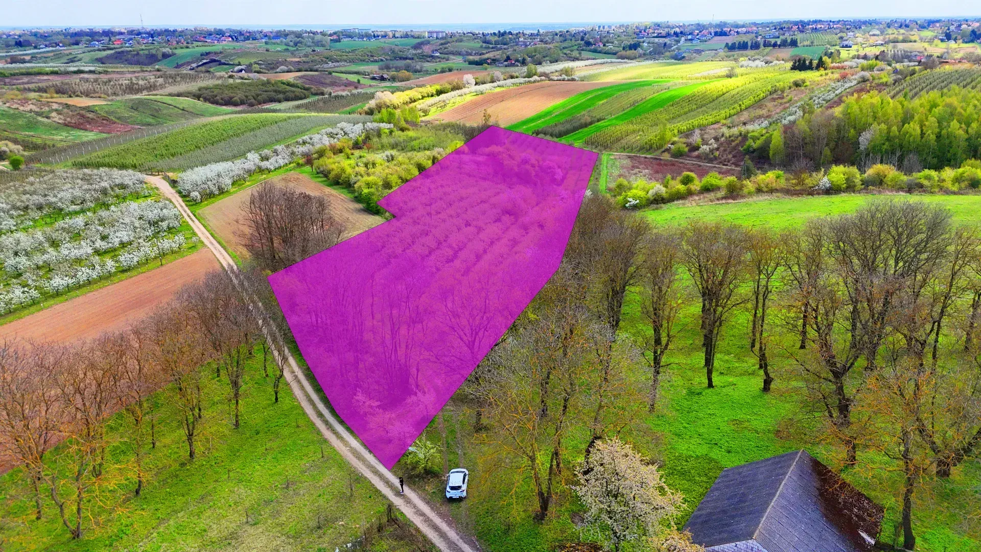 Działka budowlana – SANDOMIERZ POSCALENIOWY 9