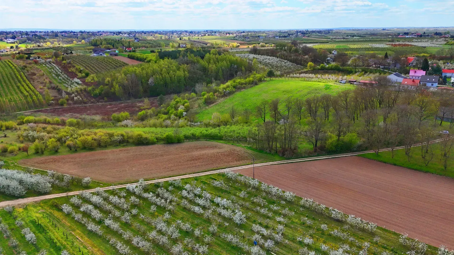 Działka budowlana – SANDOMIERZ POSCALENIOWY 10