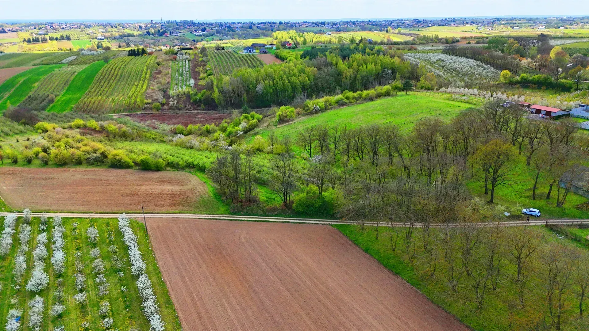 Działka budowlana – SANDOMIERZ POSCALENIOWY 11
