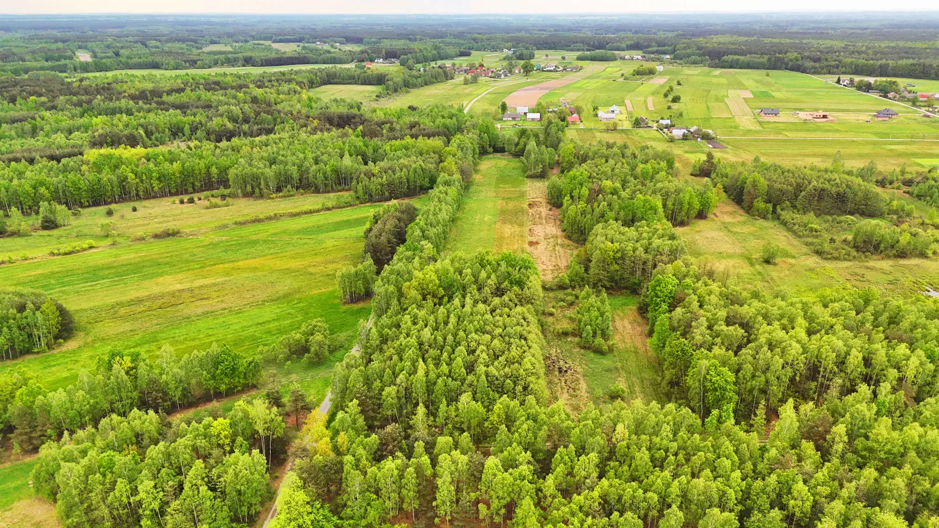 Działka rolna Wola Rusinowska 2