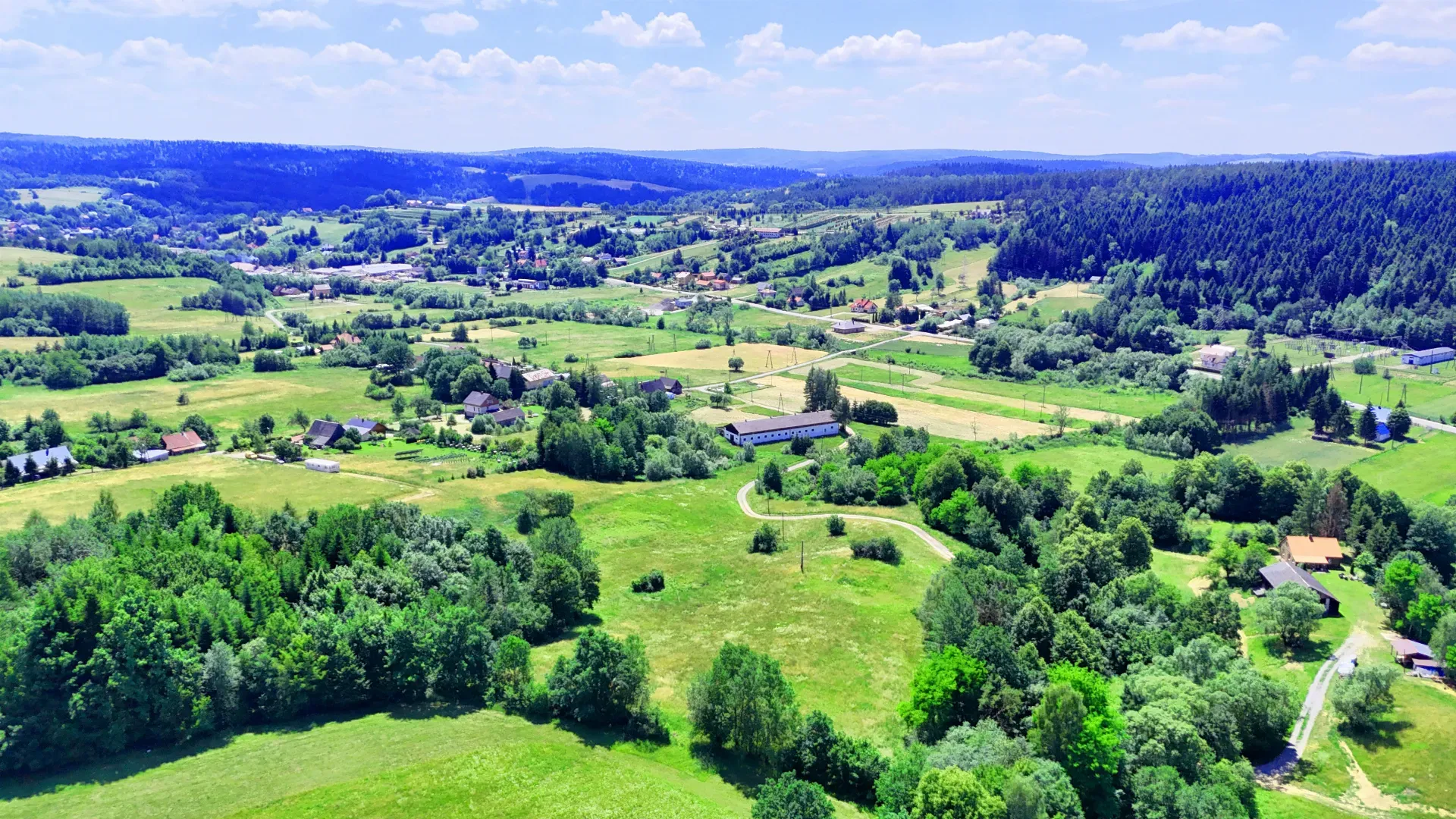 Stadnina koni Nowa Wieś/ Bircza 11