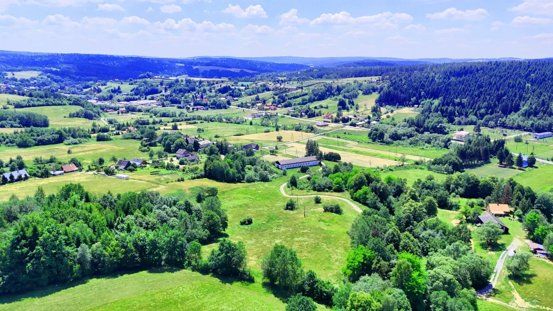 Stadnina koni Nowa Wieś/ Bircza 11