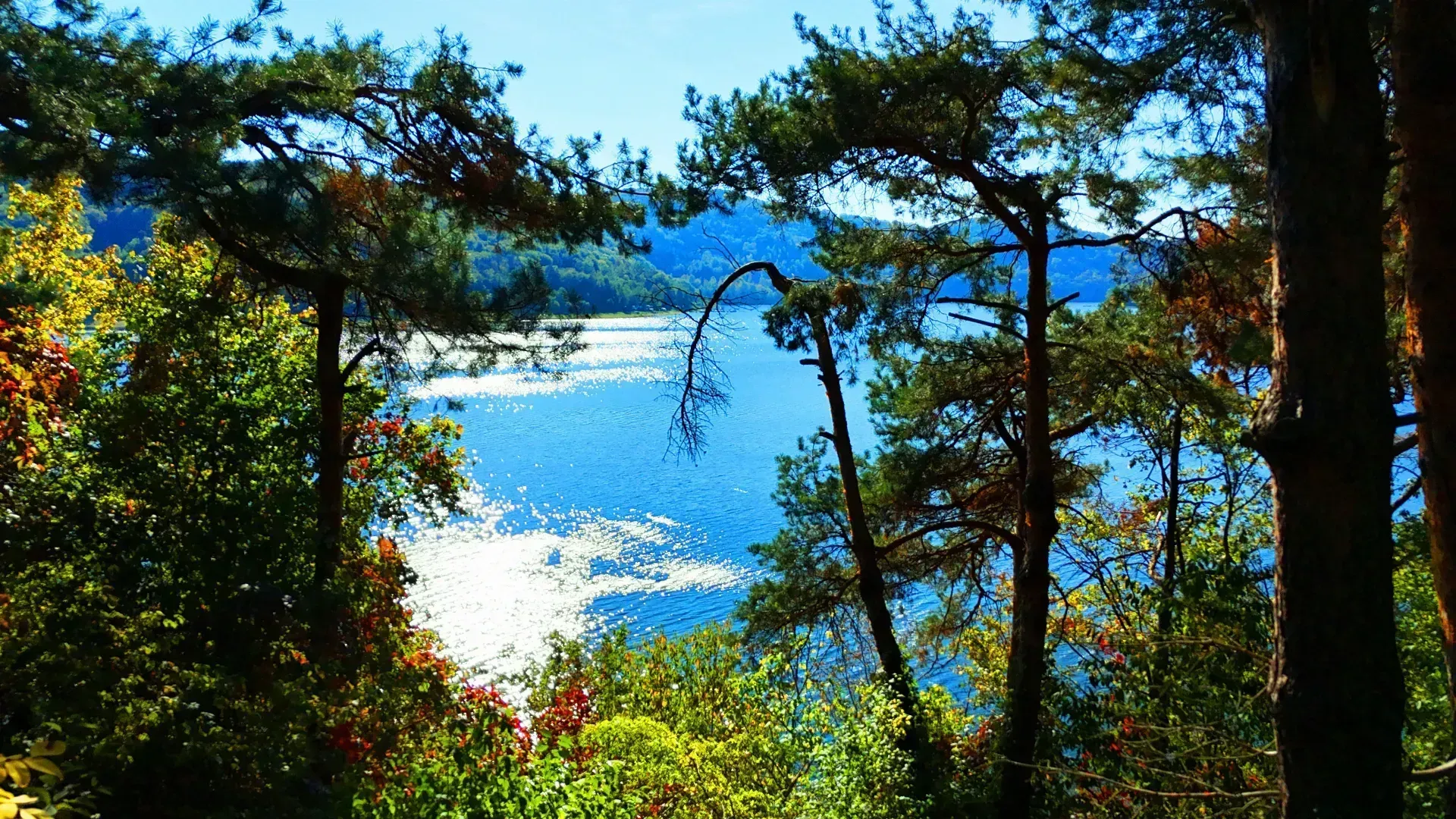 WYJĄTKOWY DOMEK NAD JEZIOREM ROŻNOWSKIM 2