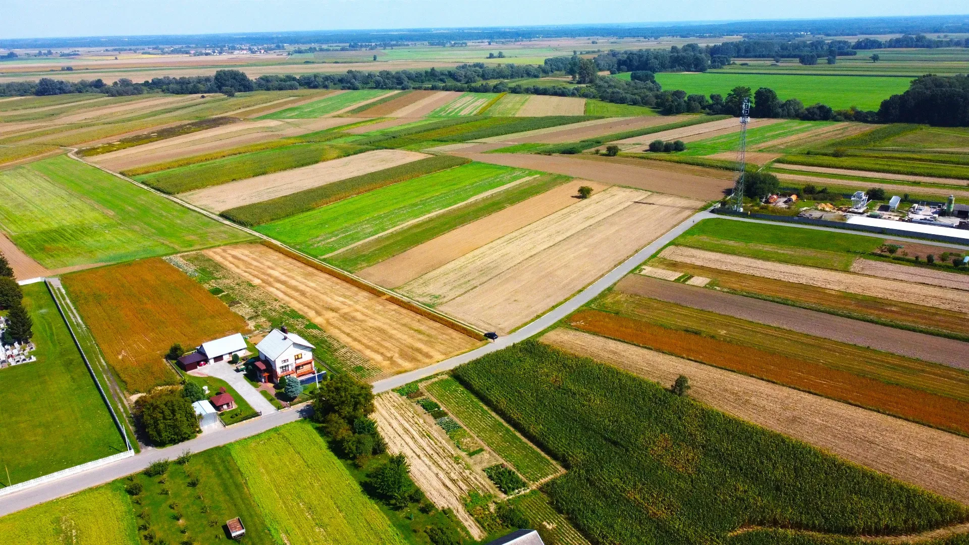 Działka rolno-budowlana na sprzedaż Dębno 6